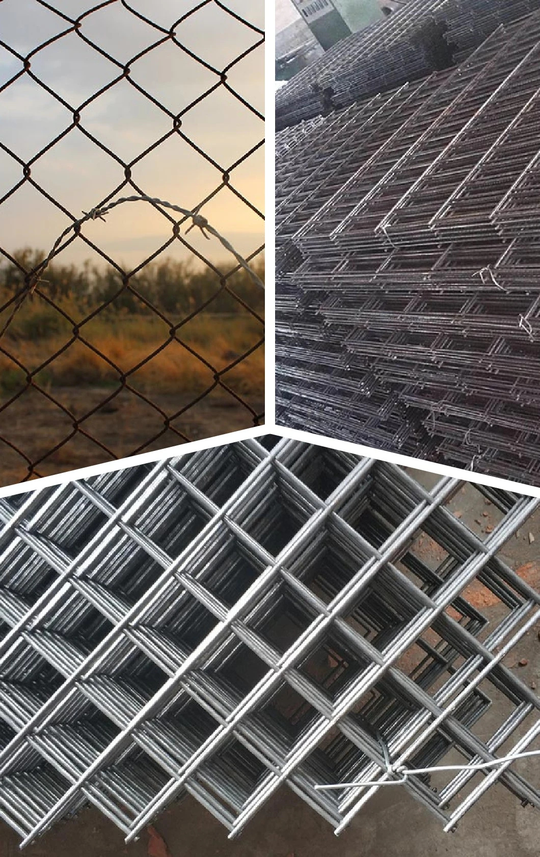 Hot Sale 2X2 Hot-Dipped Galvanized or Stainless Cattle Welded in Rolls Wire Mesh Used for Barbecue