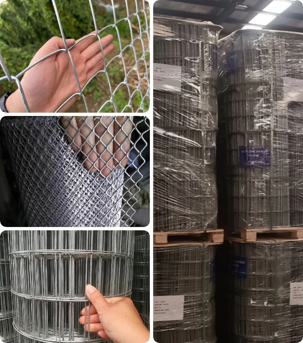 Hot Sale 2X2 Hot-Dipped Galvanized or Stainless Cattle Welded in Rolls Wire Mesh Used for Barbecue